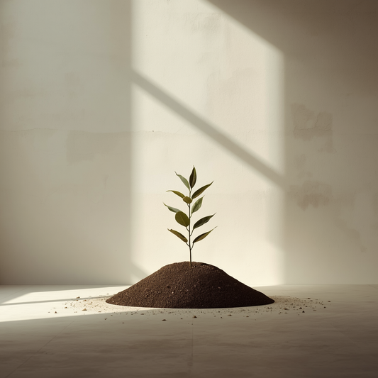 Cultiver l’intention pour un bien-être durable