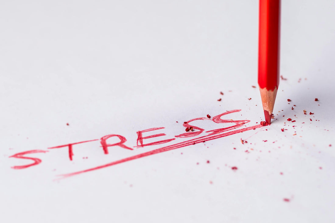 Reduce stress: Simple solutions to restore your balance