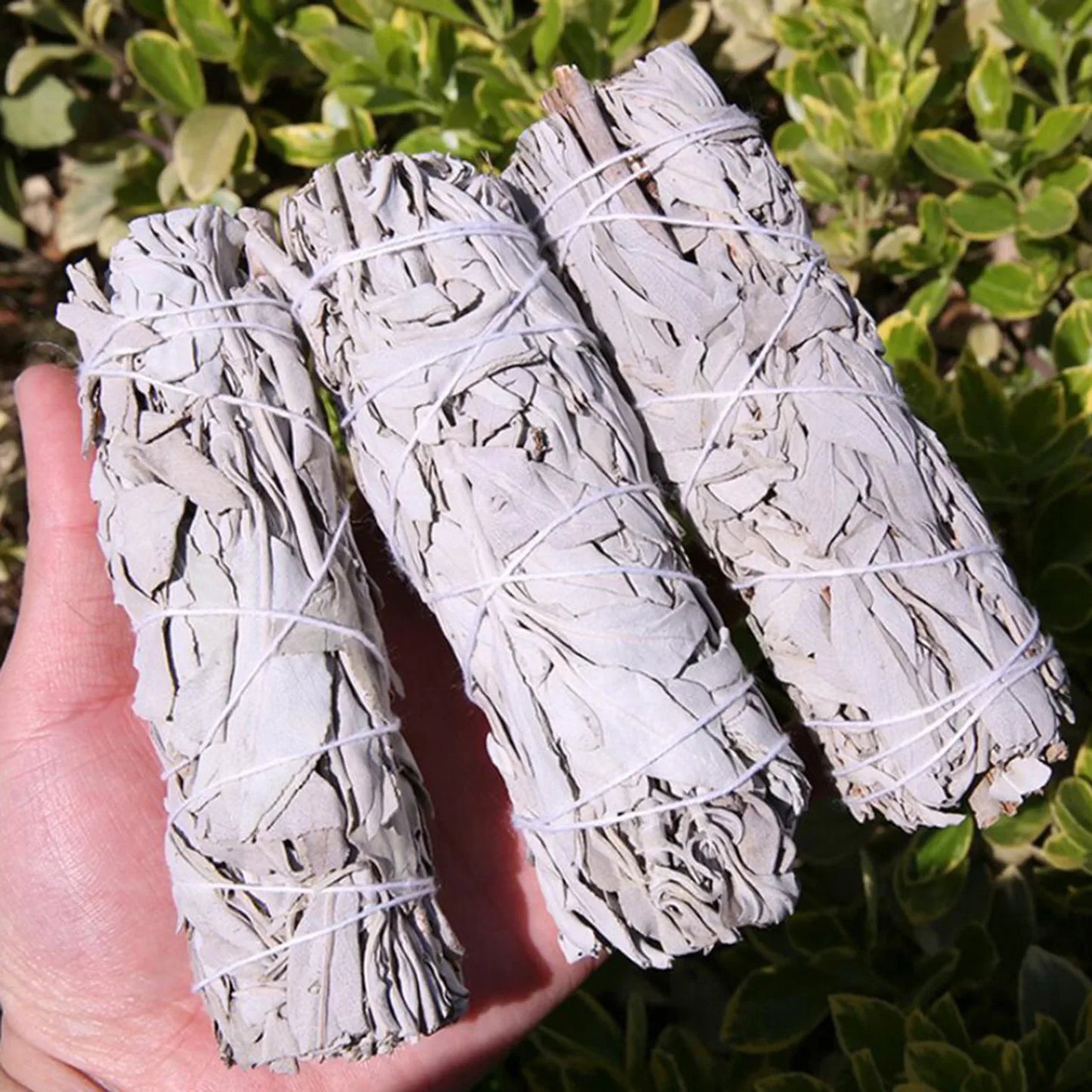 California White Sage Stick